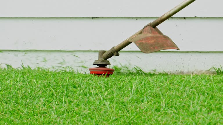 Best Lawn Irrigation Installation and Maintenance  in Deadwood, SD