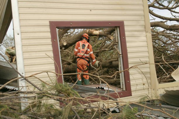  Deadwood, SD Tree Care Services Pros