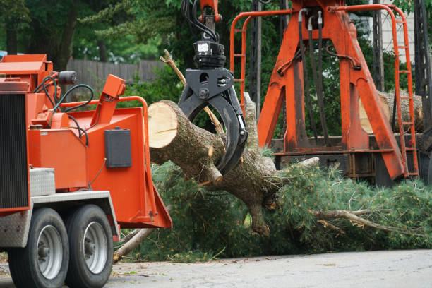 Lawn Watering Services in Deadwood, SD